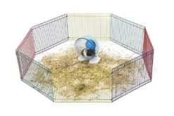 Sky Pet Products Hamster Play Pen -PetNest Shop hamster play pen 3 5941