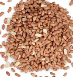 Harrisons Premium Peanut Pouch -PetNest Shop harry 23