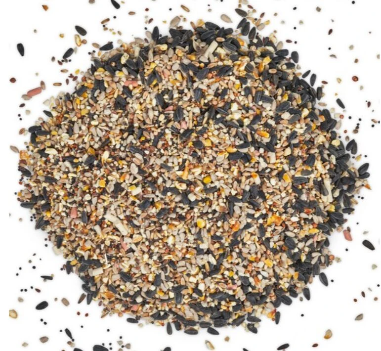 Harrisons Winter & Spring Energy Seed Mix 3 Harrisons Winter & Spring Energy Seed Mix - Image 3