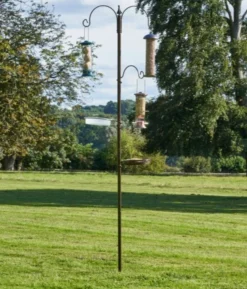 Harrisons Wild Bird Feeding Station 5 Harrisons Wild Bird Feeding Station -PetNest Shop harry 47