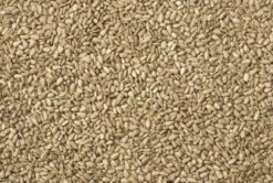 Johnston & Jeff Sunflower Hearts For Wild Birds -PetNest Shop hearts 4