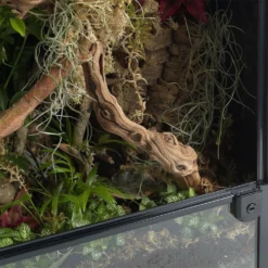 HabiStat Grapevine Sand Blasted -PetNest Shop hsgvs 5