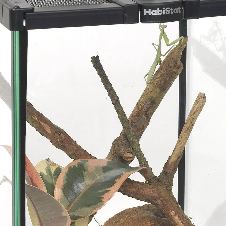 HabiStat Invertebrate Starter Kit 8 HabiStat Invertebrate Starter Kit - Image 8