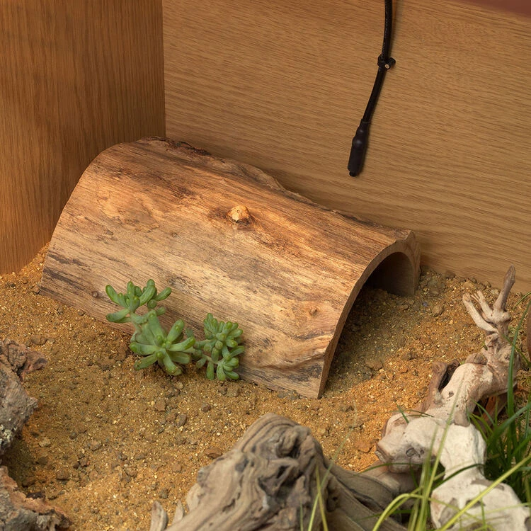 HabiStat Log Hideout 2 HabiStat Log Hideout - Image 2