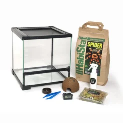 HabiStat Spider Starter Kit