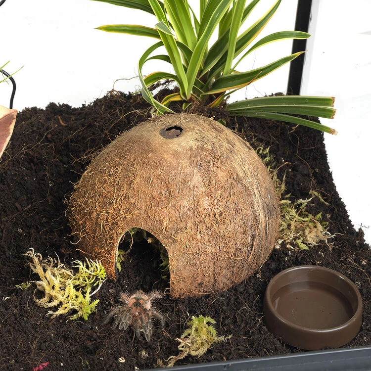 HabiStat Spider Starter Kit 8 HabiStat Spider Starter Kit - Image 8