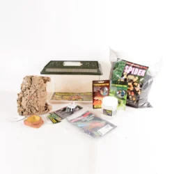 The Pet Express Tarantula Spider Starter Kit