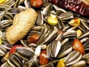 Willsbridge Parrot Mix Bird Food 12.5kg 2 Willsbridge Parrot Mix Bird Food 12.5kg - Image 2