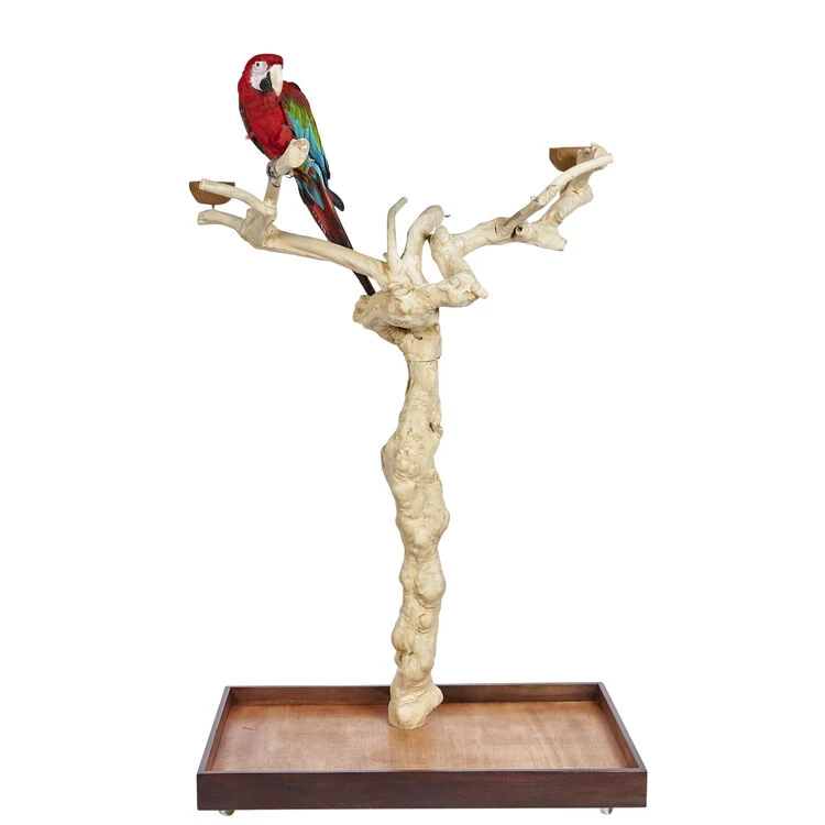 Sky Pet Products Java II Tree Large Parrot Stand 1 Sky Pet Products Java II Tree Large Parrot Stand