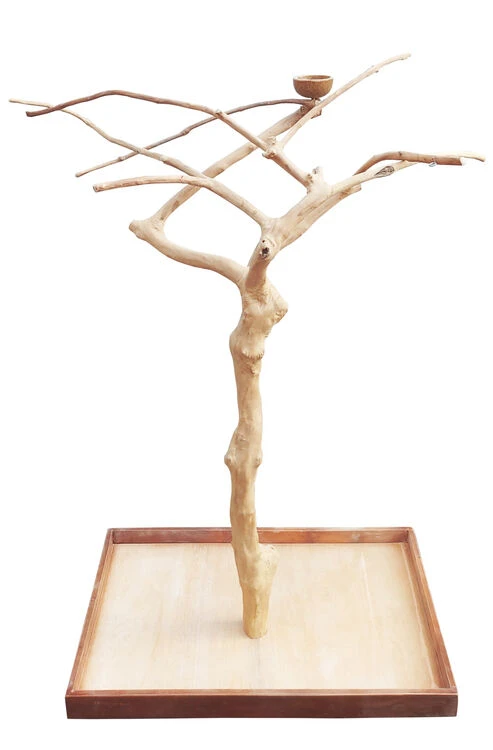 Sky Pet Products Java Midi Tree Bird Toy 1 Sky Pet Products Java Midi Tree Bird Toy