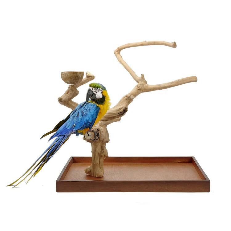 Sky Pet Products Java Mini Tree Medium 2 Sky Pet Products Java Mini Tree Medium - Image 2