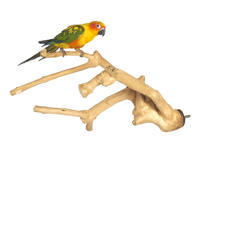 Sky Pet Products Java Multibranch Medium 1 Sky Pet Products Java Multibranch Medium