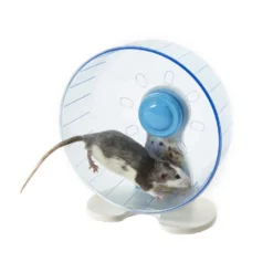 Sky Pet Products Rodent Wheel Large -PetNest Shop rodent wheels 4 7718 26 7719 1