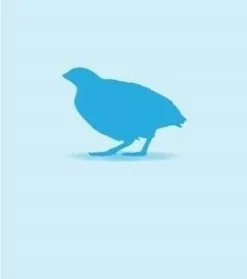 Monkfield Frozen Prime Quail