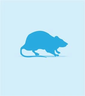 Monkfield Frozen Rats 1 Monkfield Frozen Rats